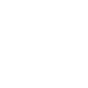 initiative-scientific-crucible