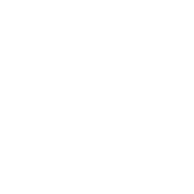 phoenix-mould-furnace-type-and-plate