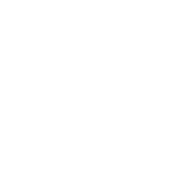 phoenix-ring-crucible